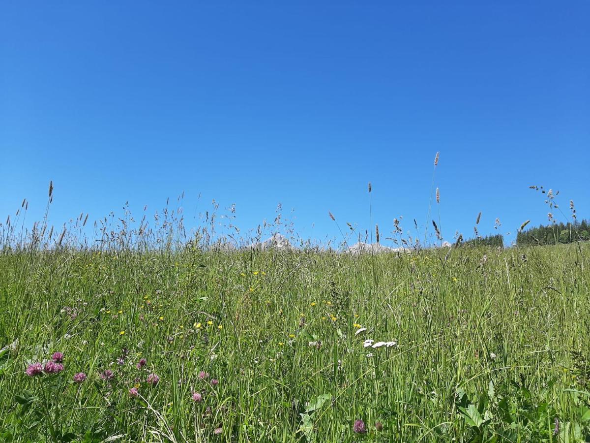 Bio-Bauernhof Hatzbauer Maria Alm am Steinernen Meer Exteriör bild