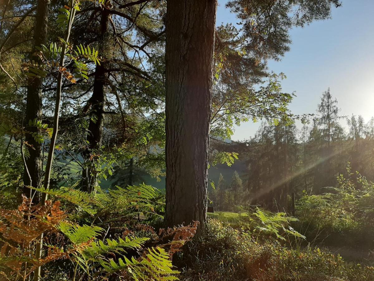 Bio-Bauernhof Hatzbauer Maria Alm am Steinernen Meer Exteriör bild