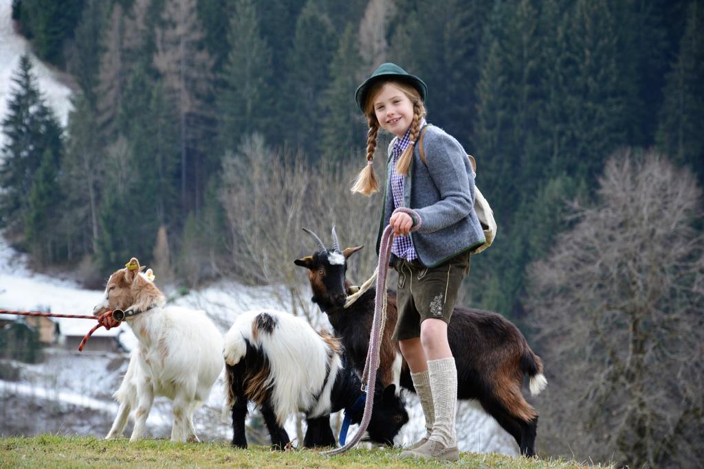 Bio-Bauernhof Hatzbauer Maria Alm am Steinernen Meer Exteriör bild
