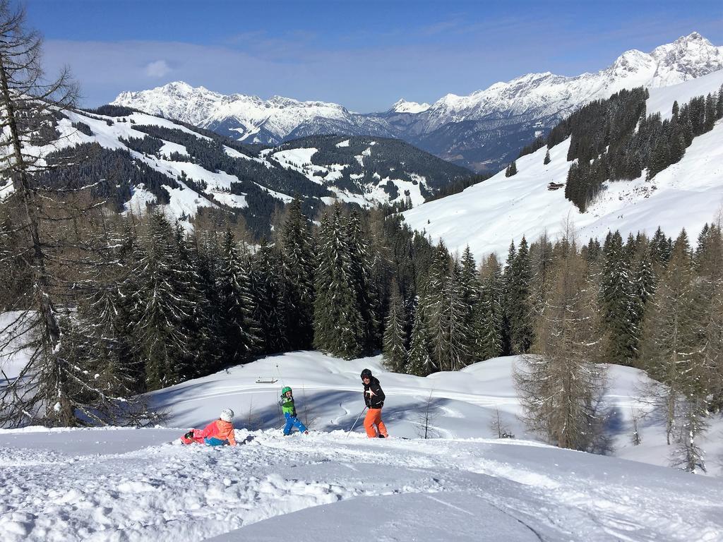 Bio-Bauernhof Hatzbauer Maria Alm am Steinernen Meer Exteriör bild