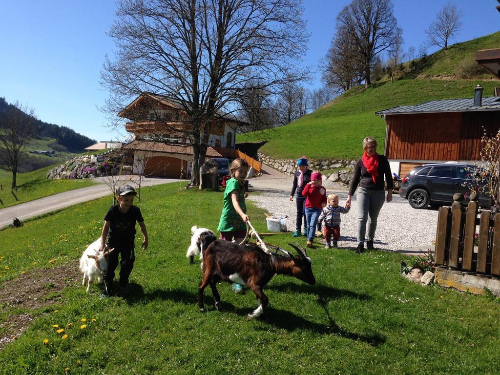 Bio-Bauernhof Hatzbauer Maria Alm am Steinernen Meer Exteriör bild
