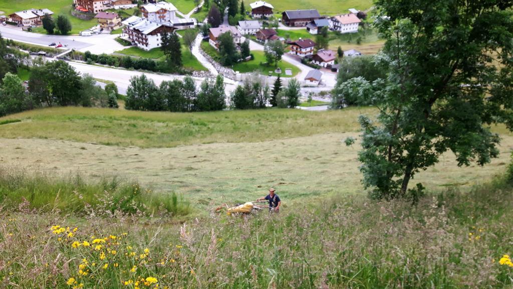 Bio-Bauernhof Hatzbauer Maria Alm am Steinernen Meer Exteriör bild