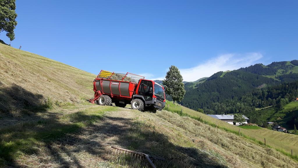Bio-Bauernhof Hatzbauer Maria Alm am Steinernen Meer Exteriör bild