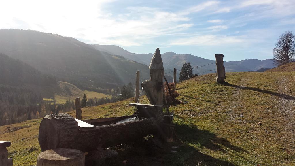 Bio-Bauernhof Hatzbauer Maria Alm am Steinernen Meer Exteriör bild