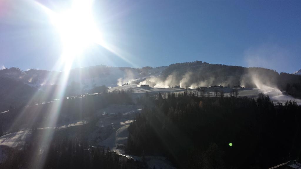 Bio-Bauernhof Hatzbauer Maria Alm am Steinernen Meer Exteriör bild